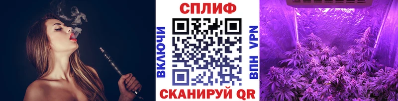 Магазины продажи наркотиков Новодвинск ГАШИШ  Конопля  Кокаин  СОЛЬ  МЕФ 