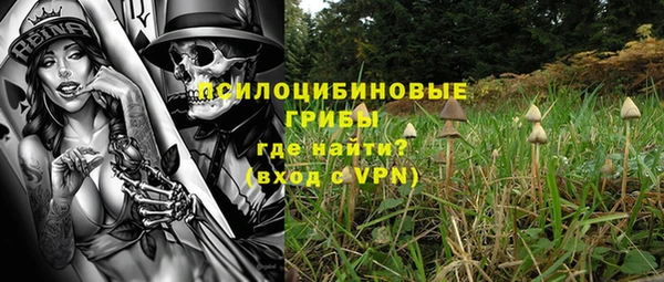 не бодяженный Богородицк