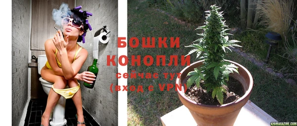 MESCALINE Богданович