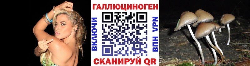 Галлюциногенные грибы мицелий  где купить наркоту  Новодвинск 
